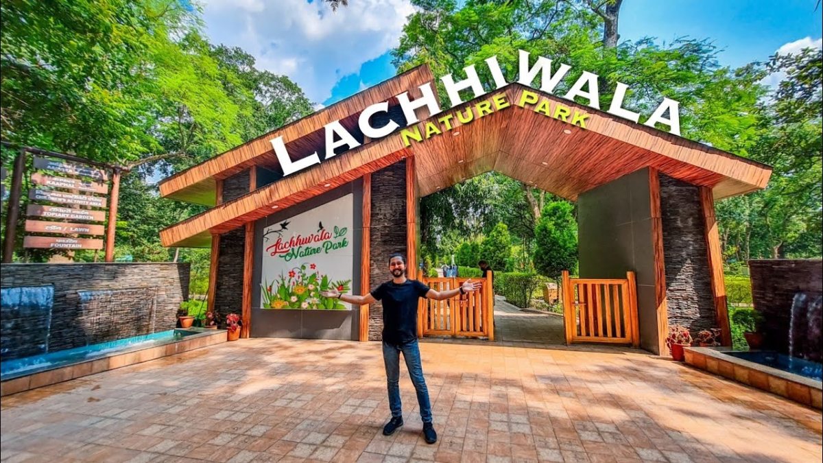 Lachhiwala
