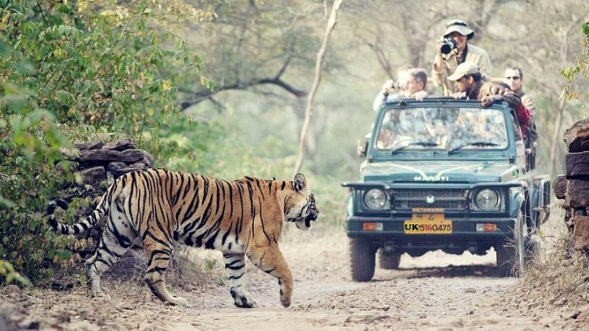 Rajaji National Park